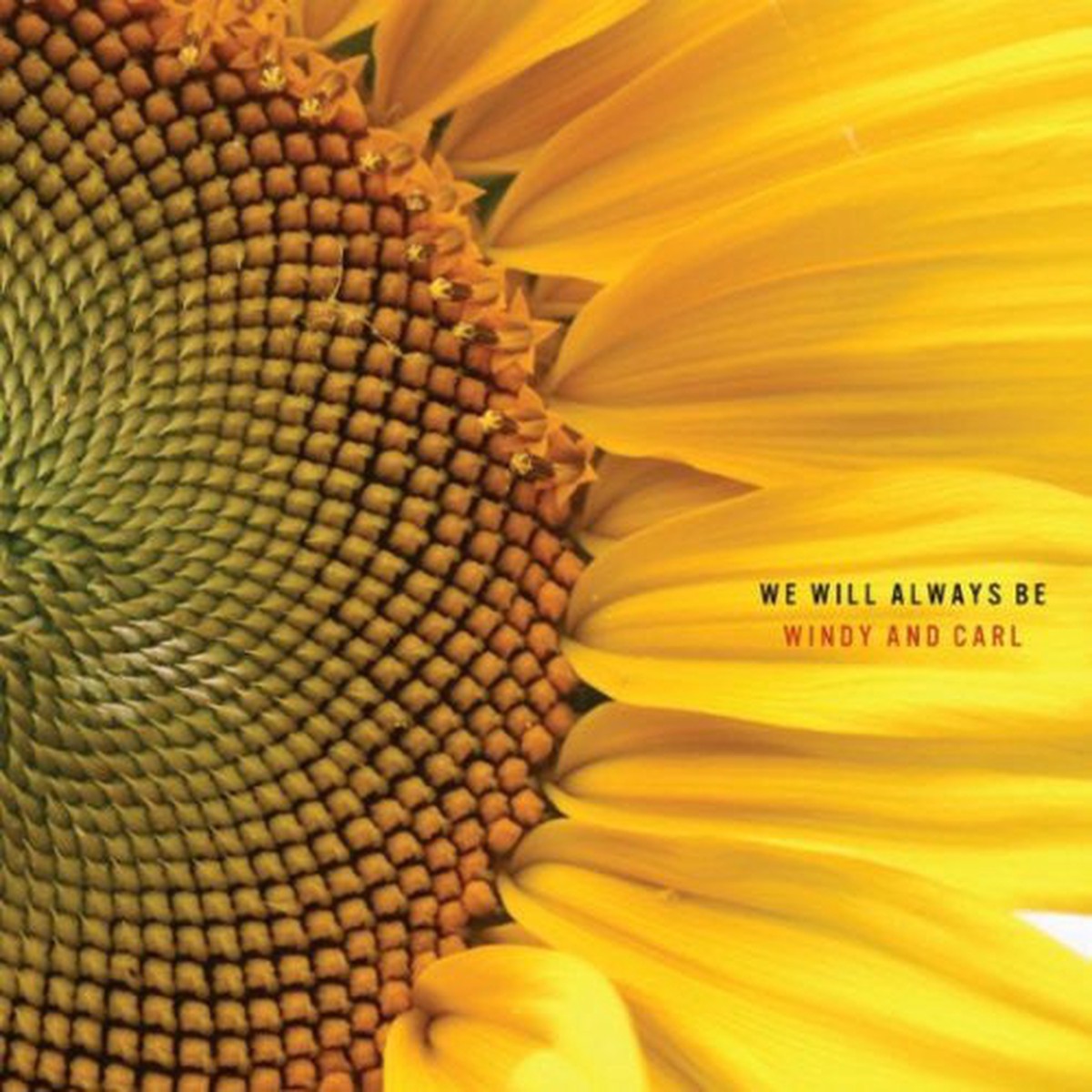 Windy Carl - We Will Always Be (CD Album) - NEW