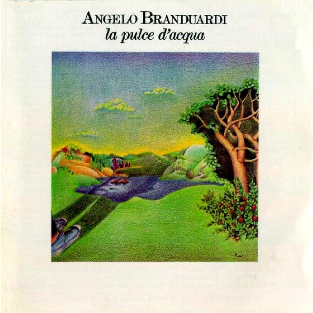Angelo Branduardi - La Pulce DAcqua (CD Album) - USED