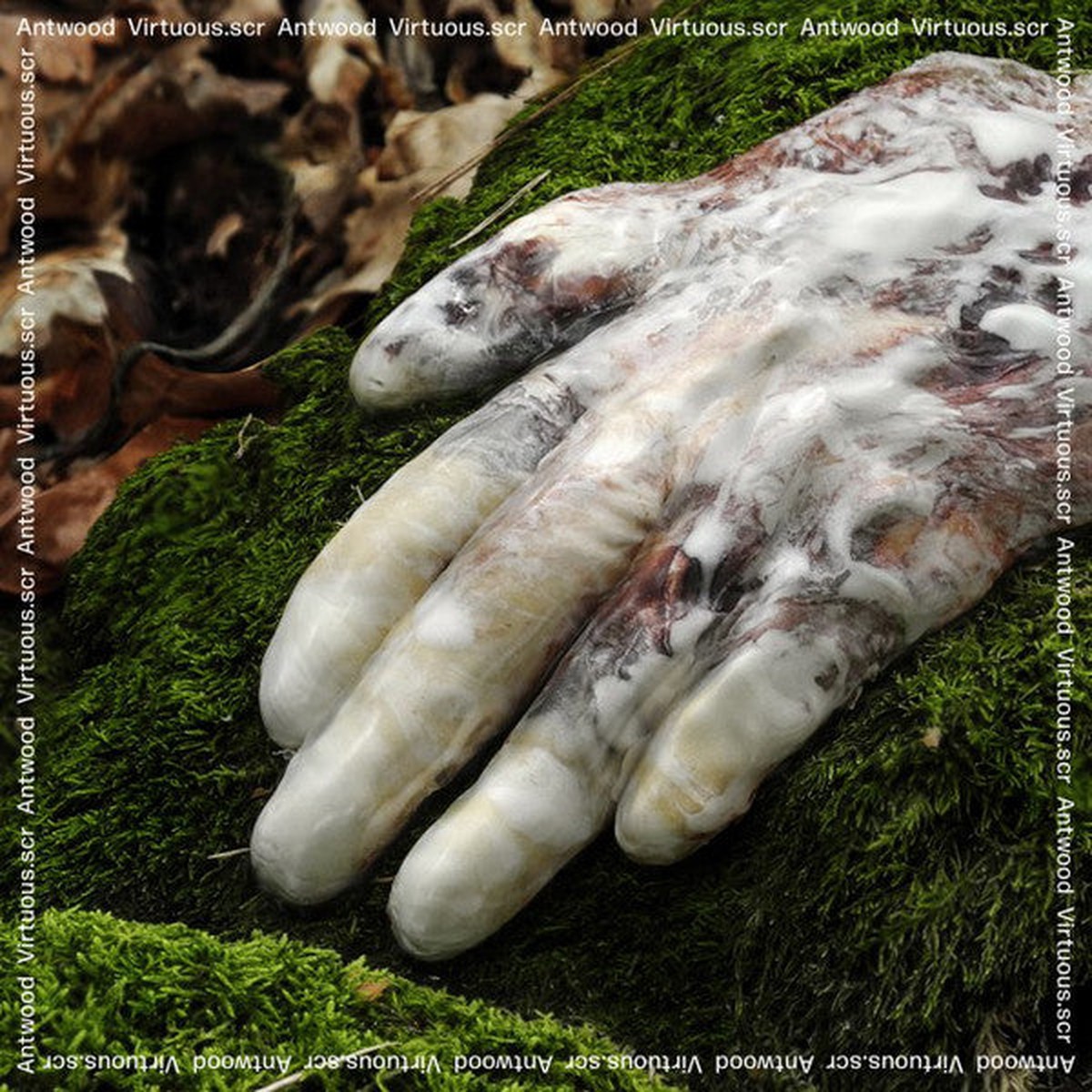 Antwood - Virtuousscr (2x12 Album) - NEW