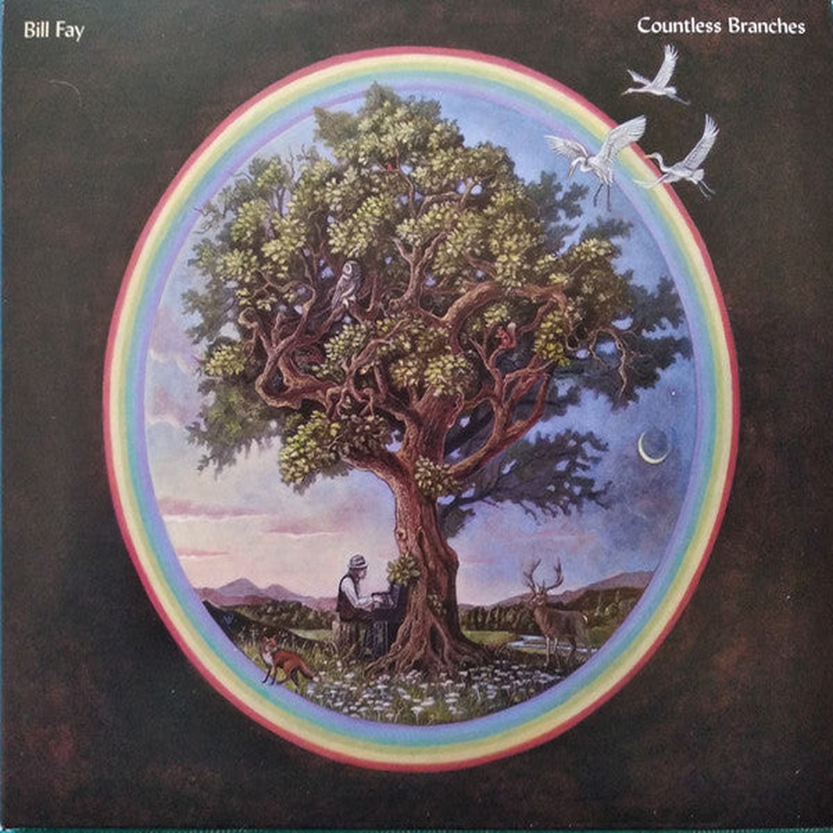 Bill Fay - Countless Branches (CD Album Dlx Dig) - NEW
