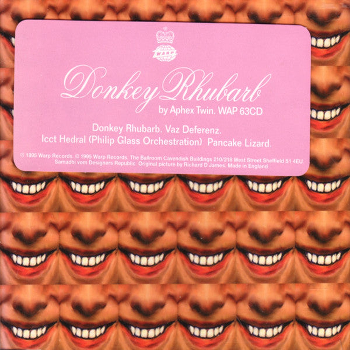 Aphex Twin - Donkey Rhubarb (CD Single) - USED