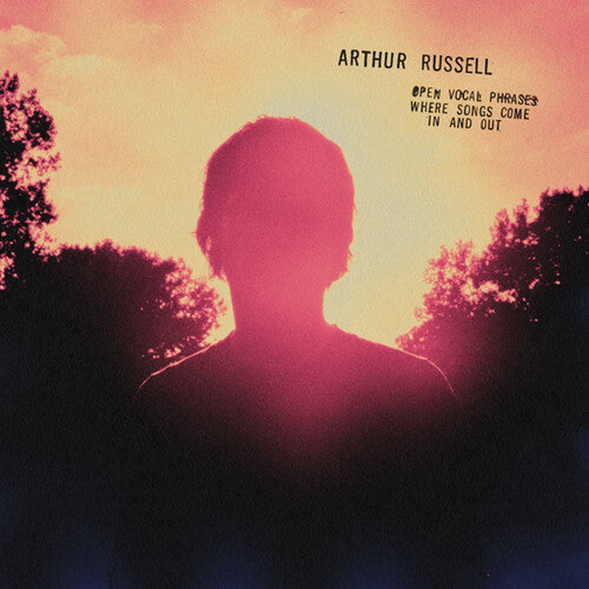 Arthur Russell - Open Vocal Phrases Where Songs Come In and Out