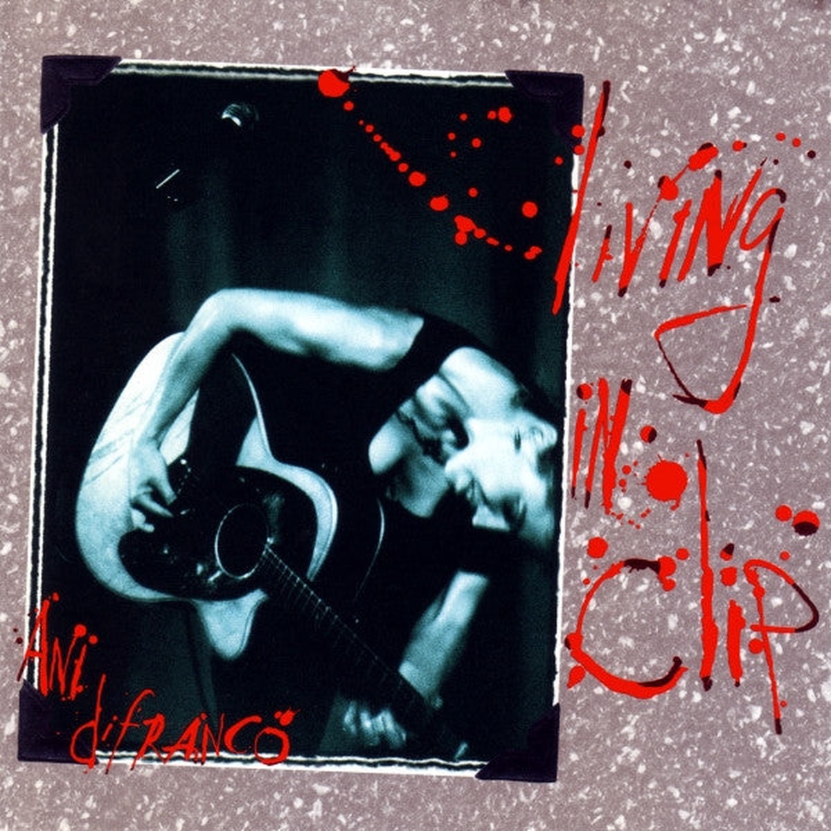 Ani DiFranco - Living In Clip (2xCD Album Sli) - USED