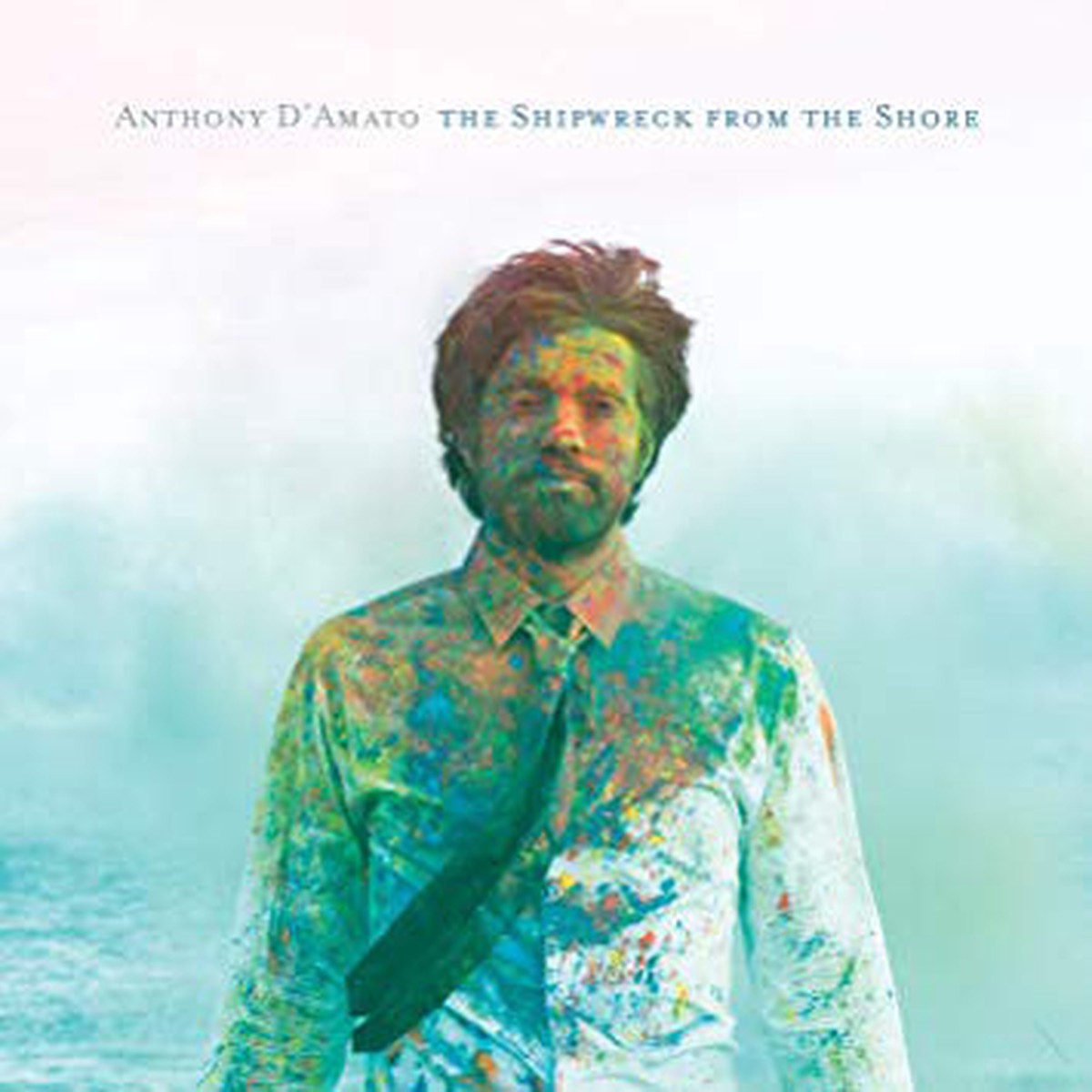Anthony DAmato - The Shipwreck from the Shore (CD) - USED