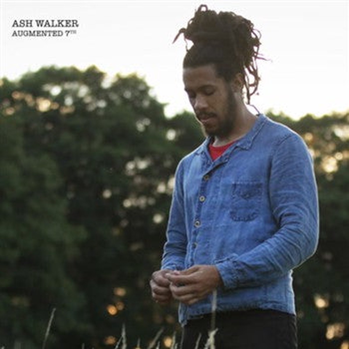 Ash Walker - Augmented 7th (2x12 Album Smplr) - USED