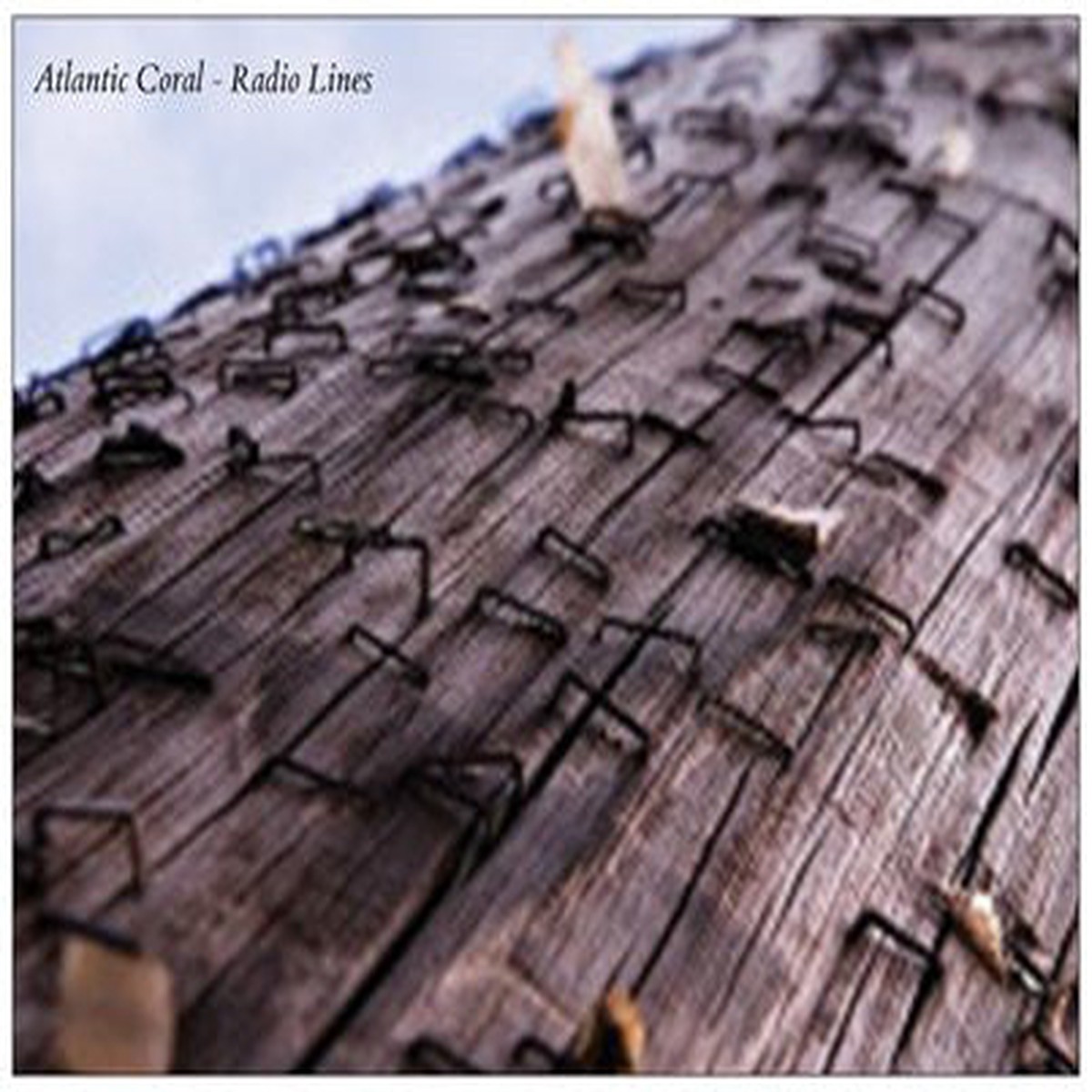 Atlantic Coral - Radio Lines (CDr Mini Ltd) - NEW