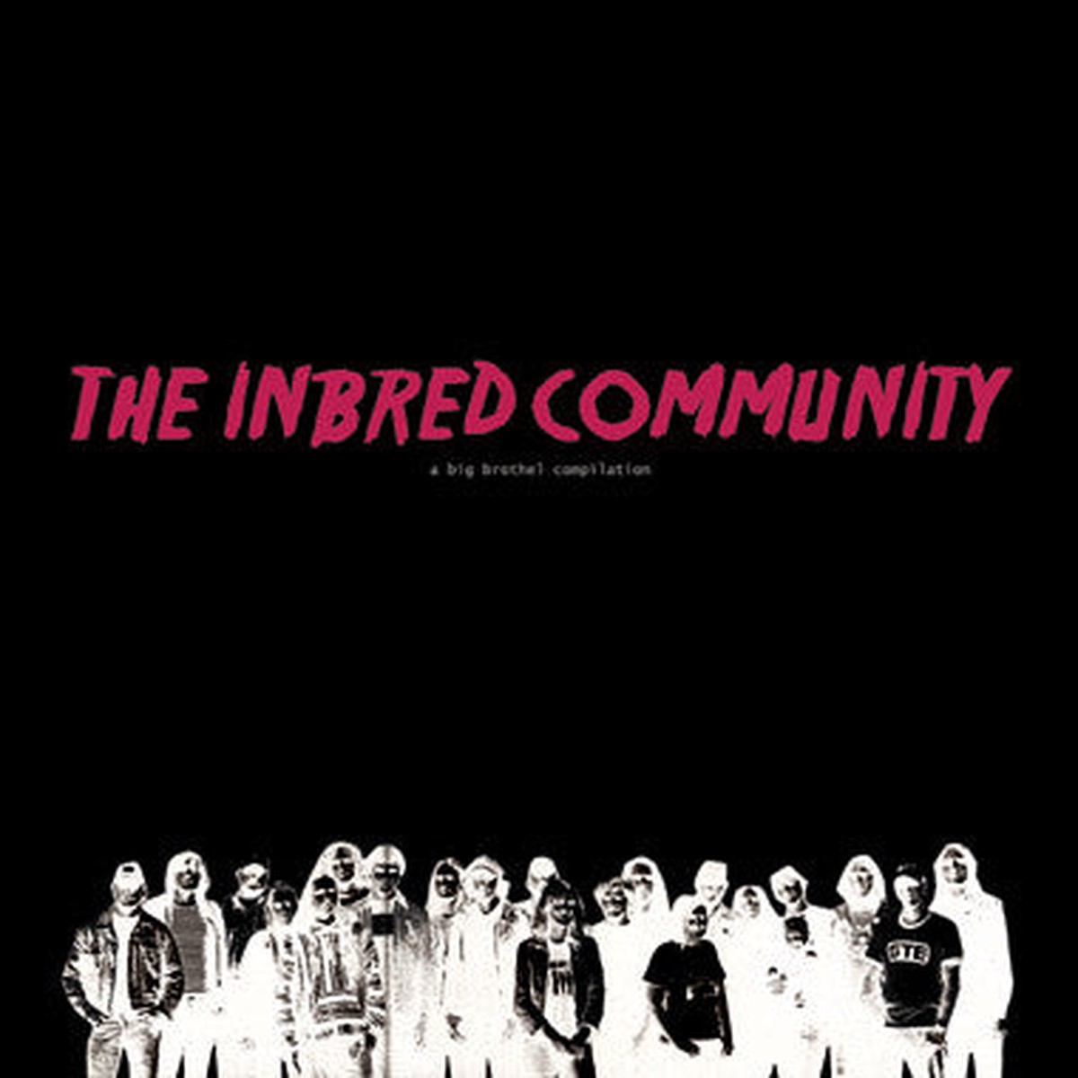 Various - The Inbred Community (LP) - USED