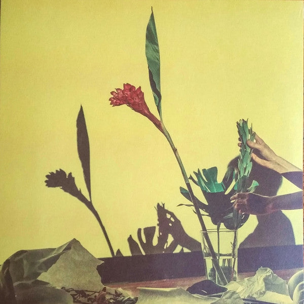 UCC Harlo - United (LP Album) - NEW