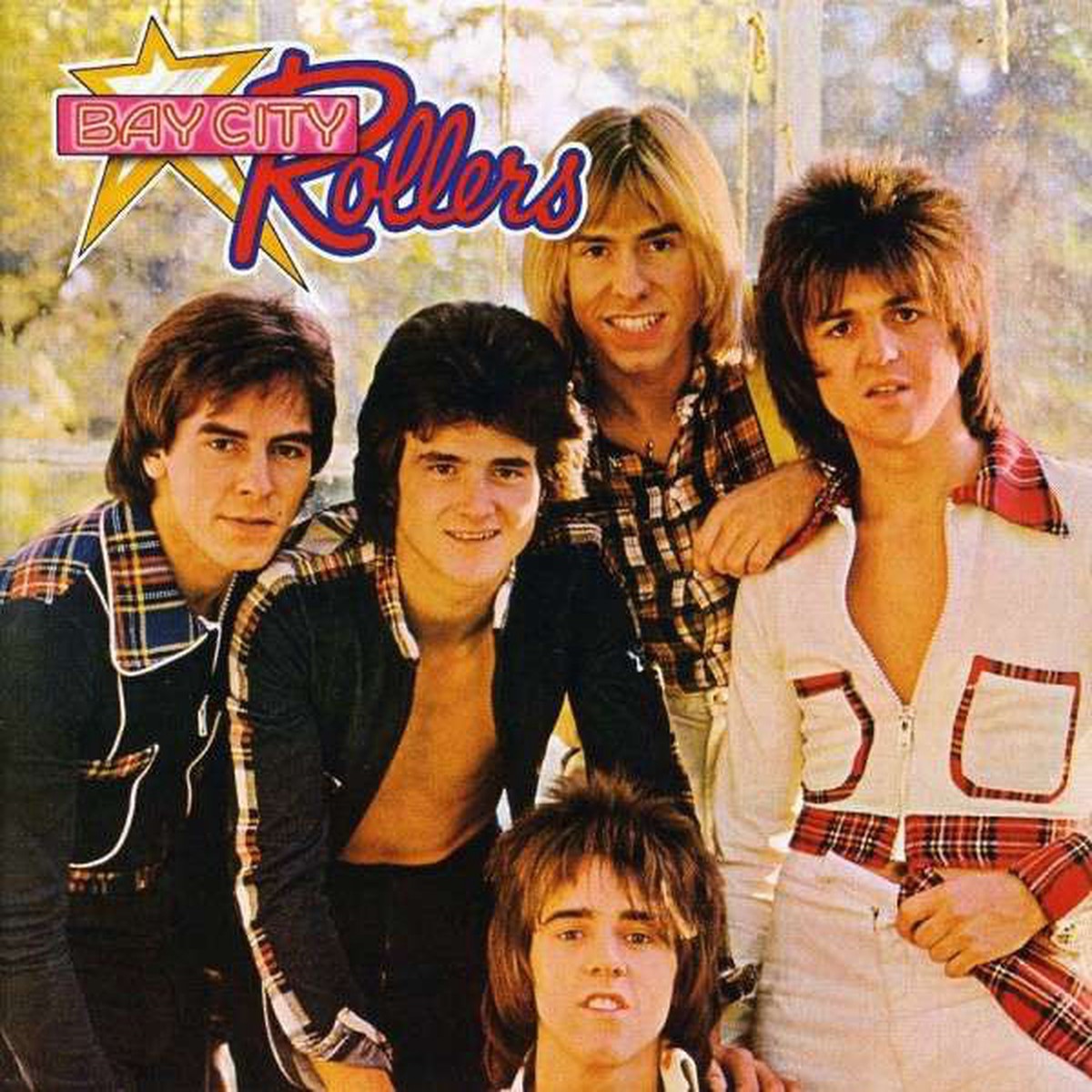Bay City Rollers - Wouldnt You Like It (LP Album) - USED