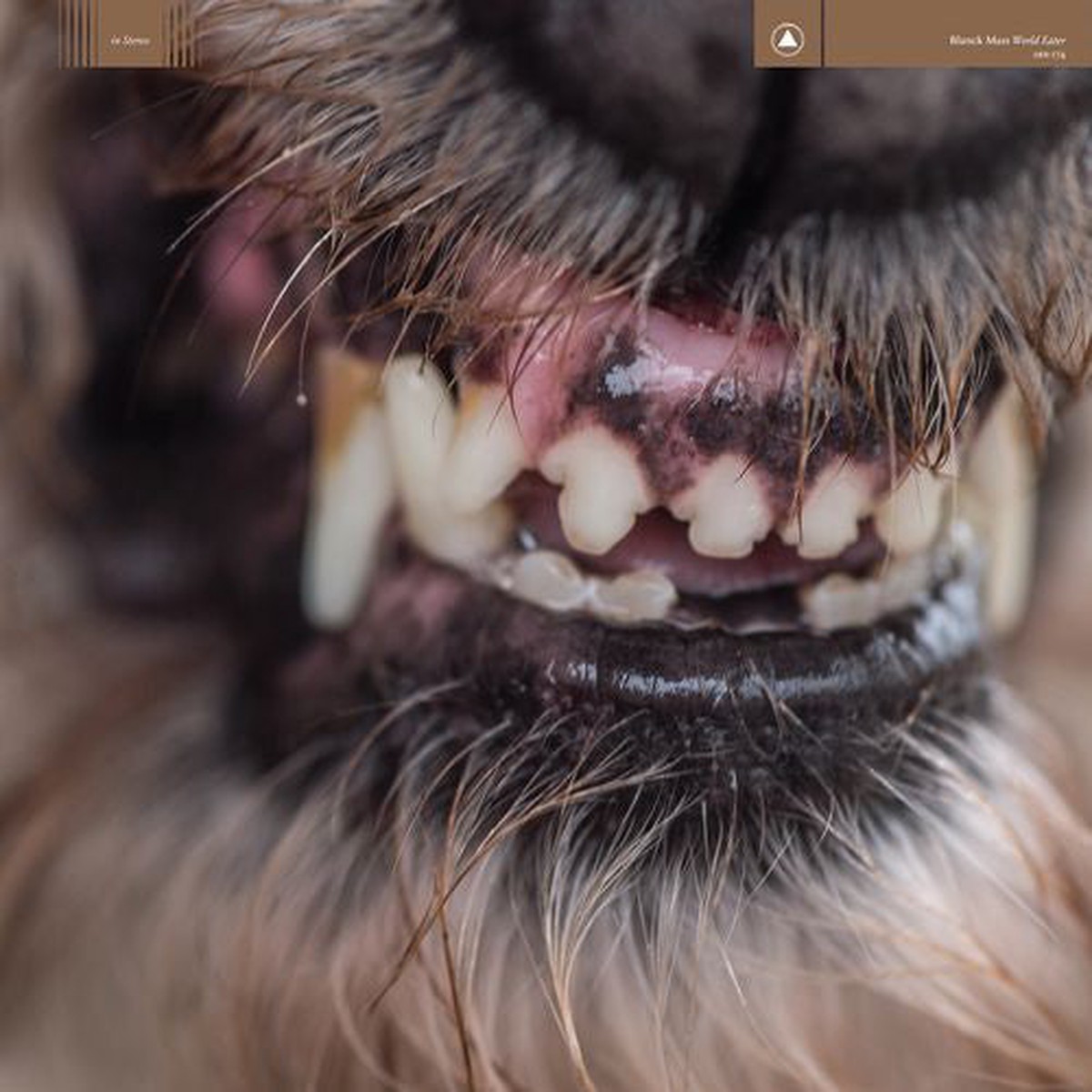 Blanck Mass - World Eater (LP Album) - NEW