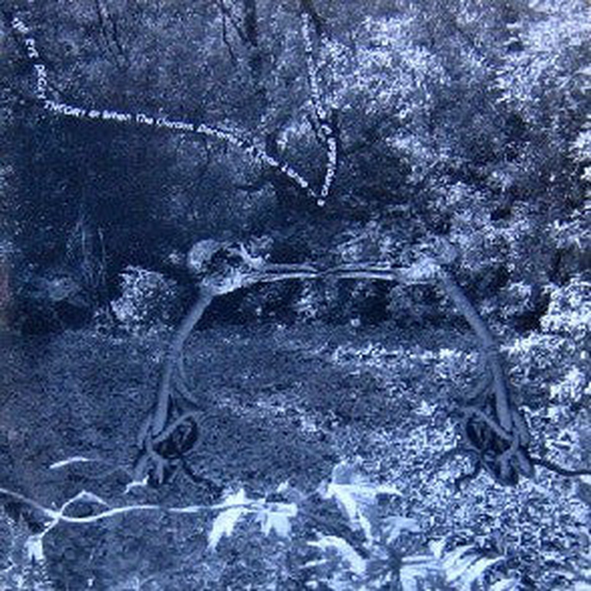 Various - The Eye Decay Theory Or When The Garden Becomes A Time Lapse (A Compilation Of Spontaneous Combustion Witnesses) (LP Comp) - USED
