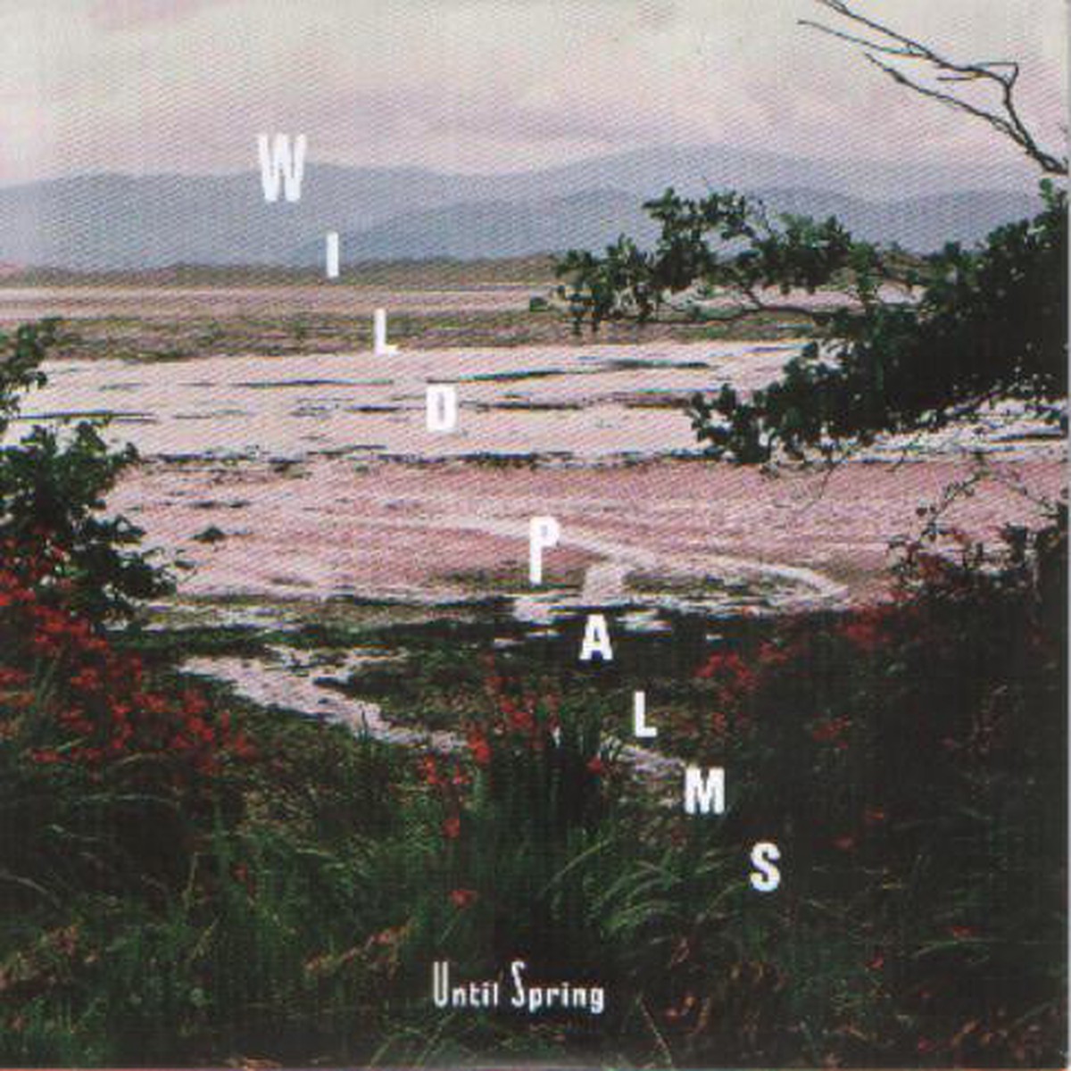 Wild Palms (2) - Until Spring (CD Album Promo) - NEW