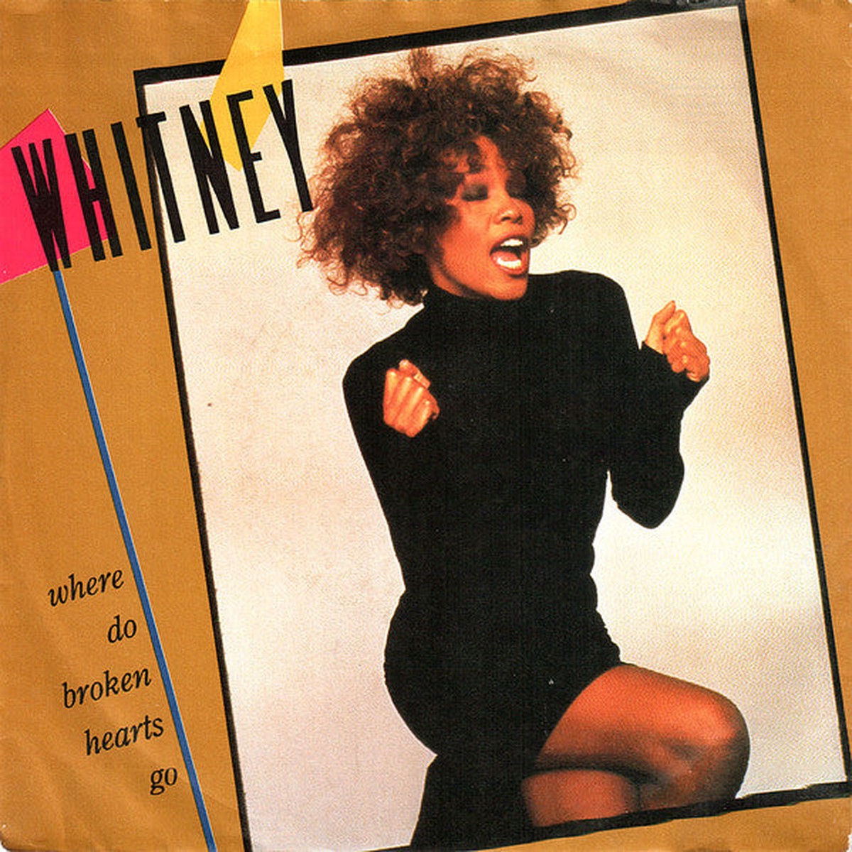 Whitney Houston - Where Do Broken Hearts Go (7 Single) - USED