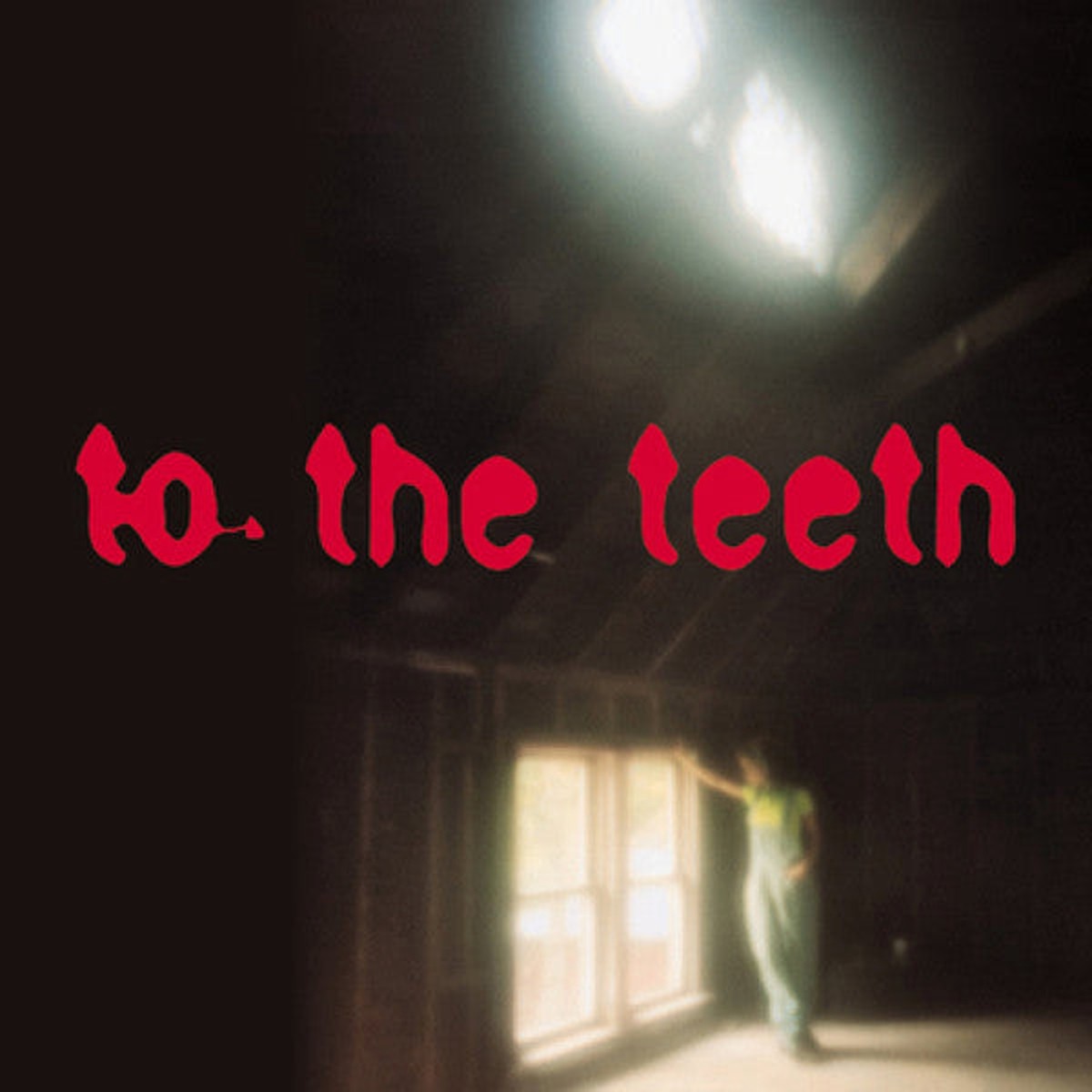 Ani DiFranco - To The Teeth (CD Album) - USED