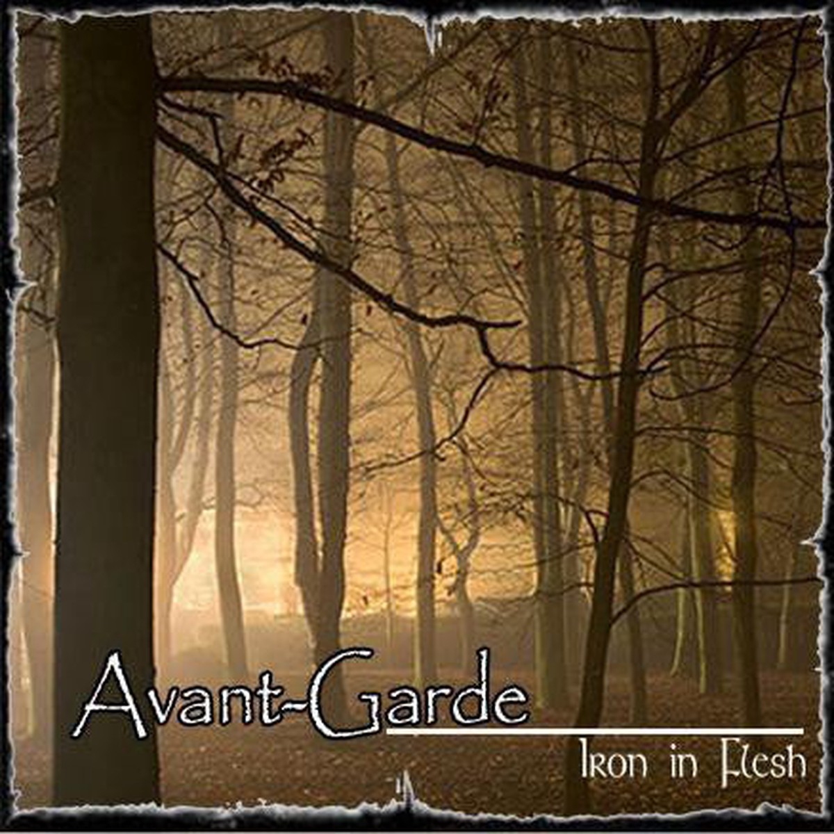 Avant-Garde - Iron In Flesh (CD Album) - USED