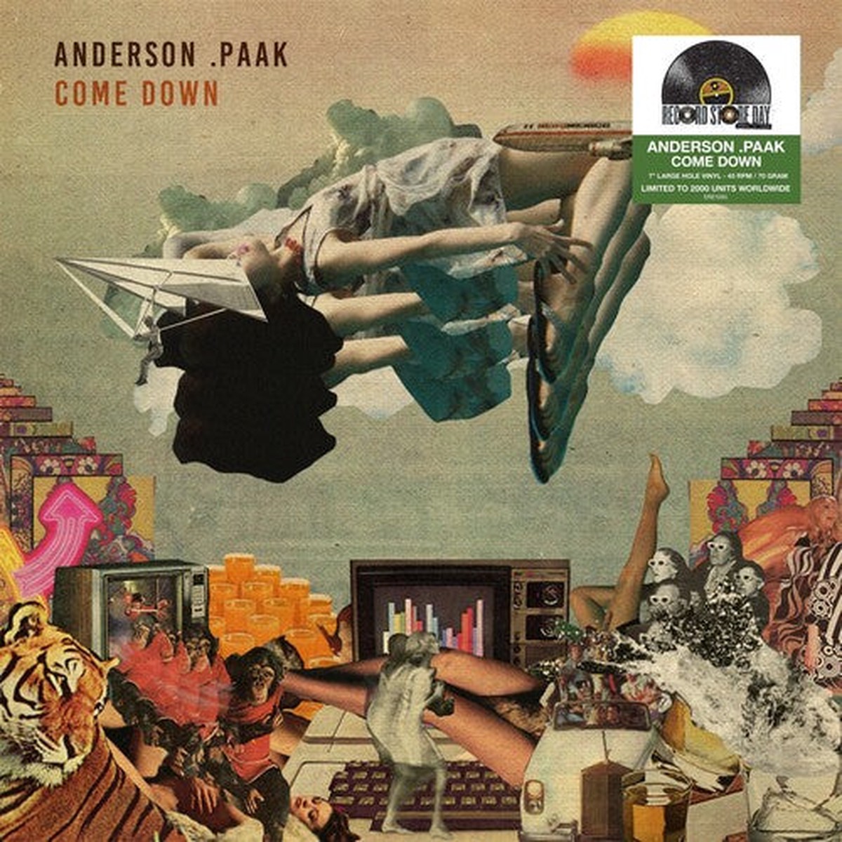Anderson Paak - Come Down Single 7