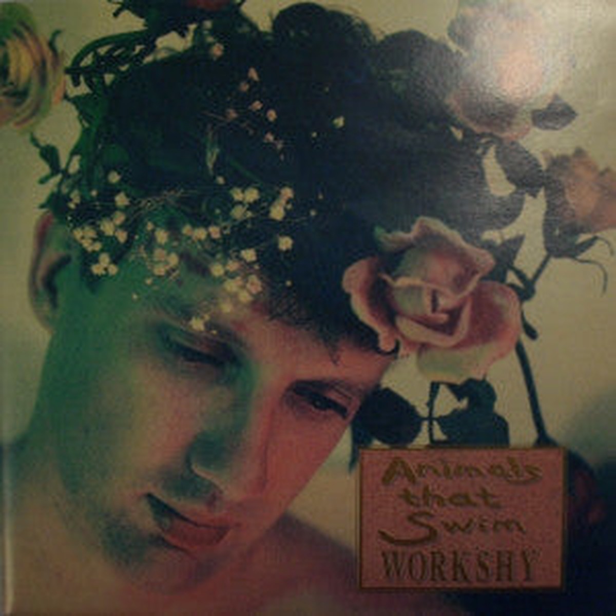 Animals That Swim - Workshy (CD Album) - USED