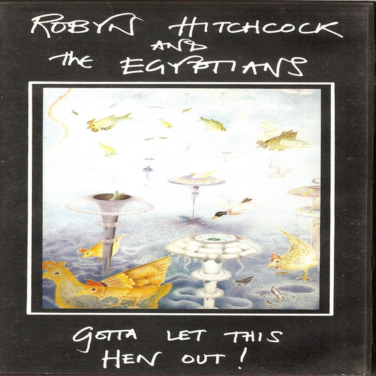 Robyn Hitchcock And The Egyptians - Gotta Let This Hen Out (VHS NTSC) - USED