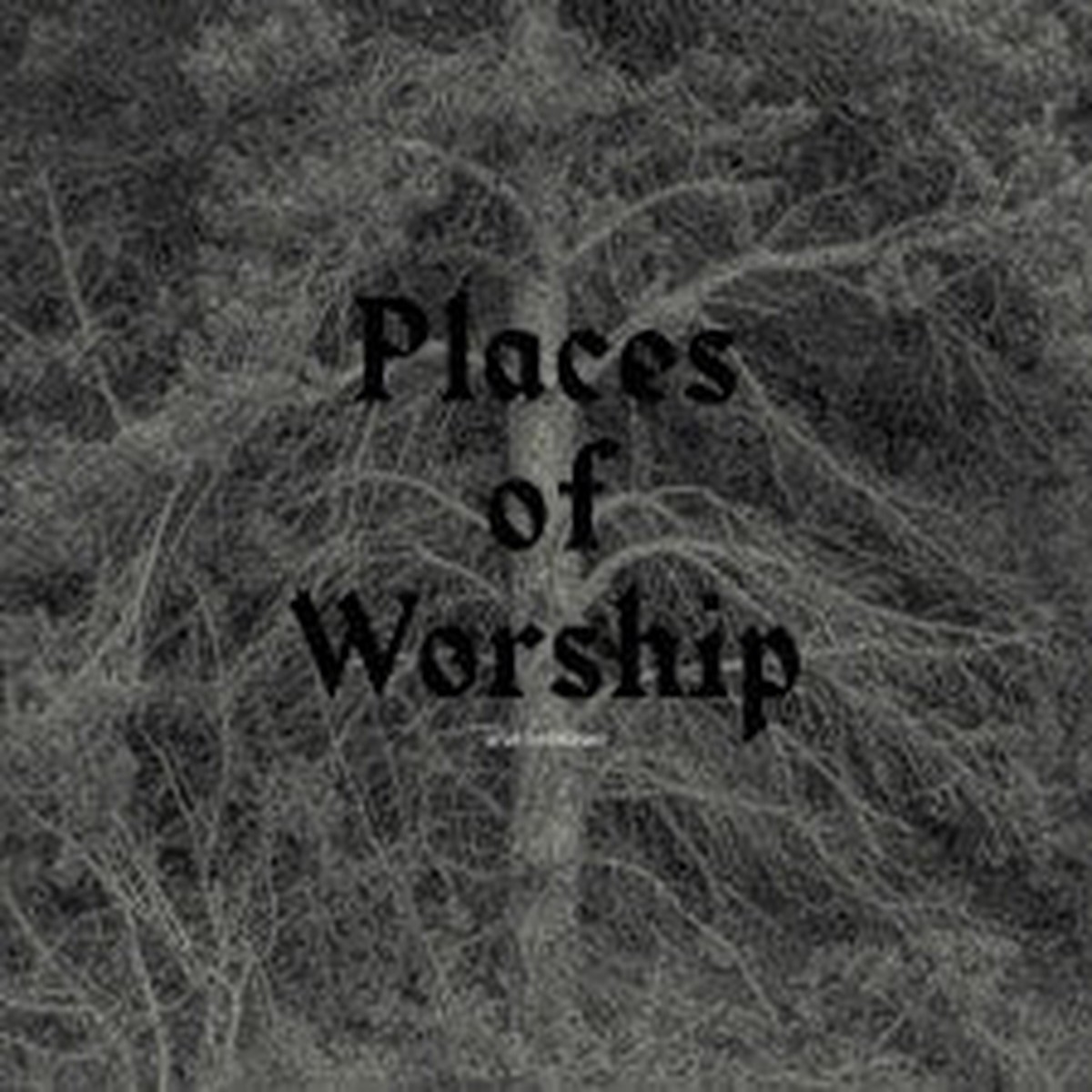 Arve Henriksen - Places Of Worship (LP) - NEW