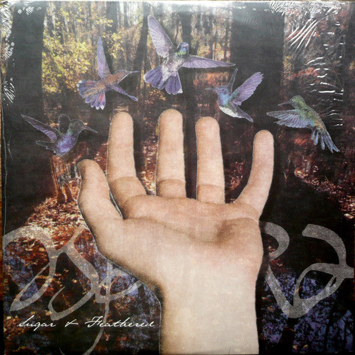 Aspera - Sugar Feathered (LP Album blu) - NEW