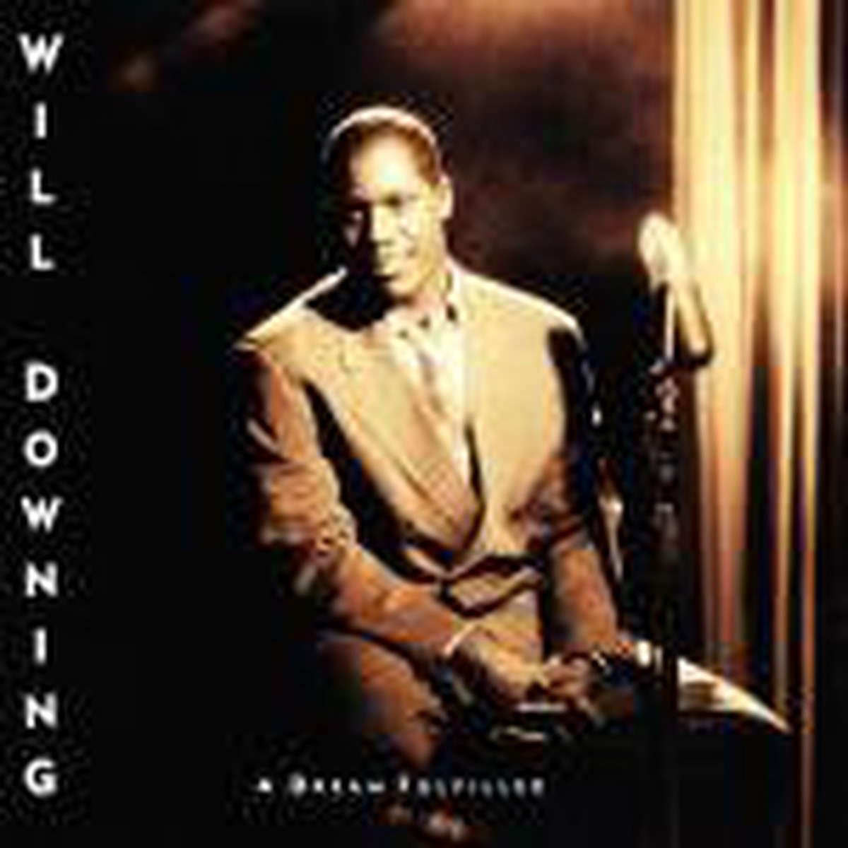 Will Downing - A Dream Fulfilled (CD Album) - USED