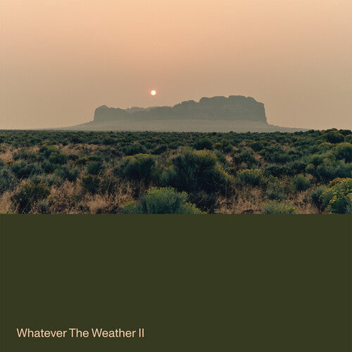 Whatever the Weather - Whatever the Weather II Green Vinyl