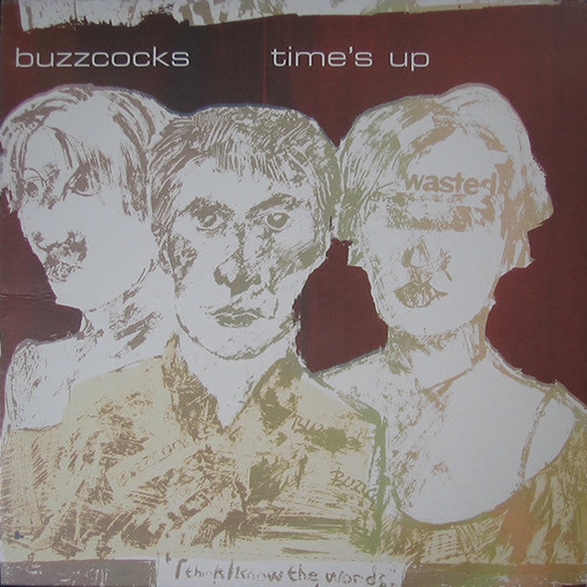 Buzzcocks - Times Up (LP RE) - USED