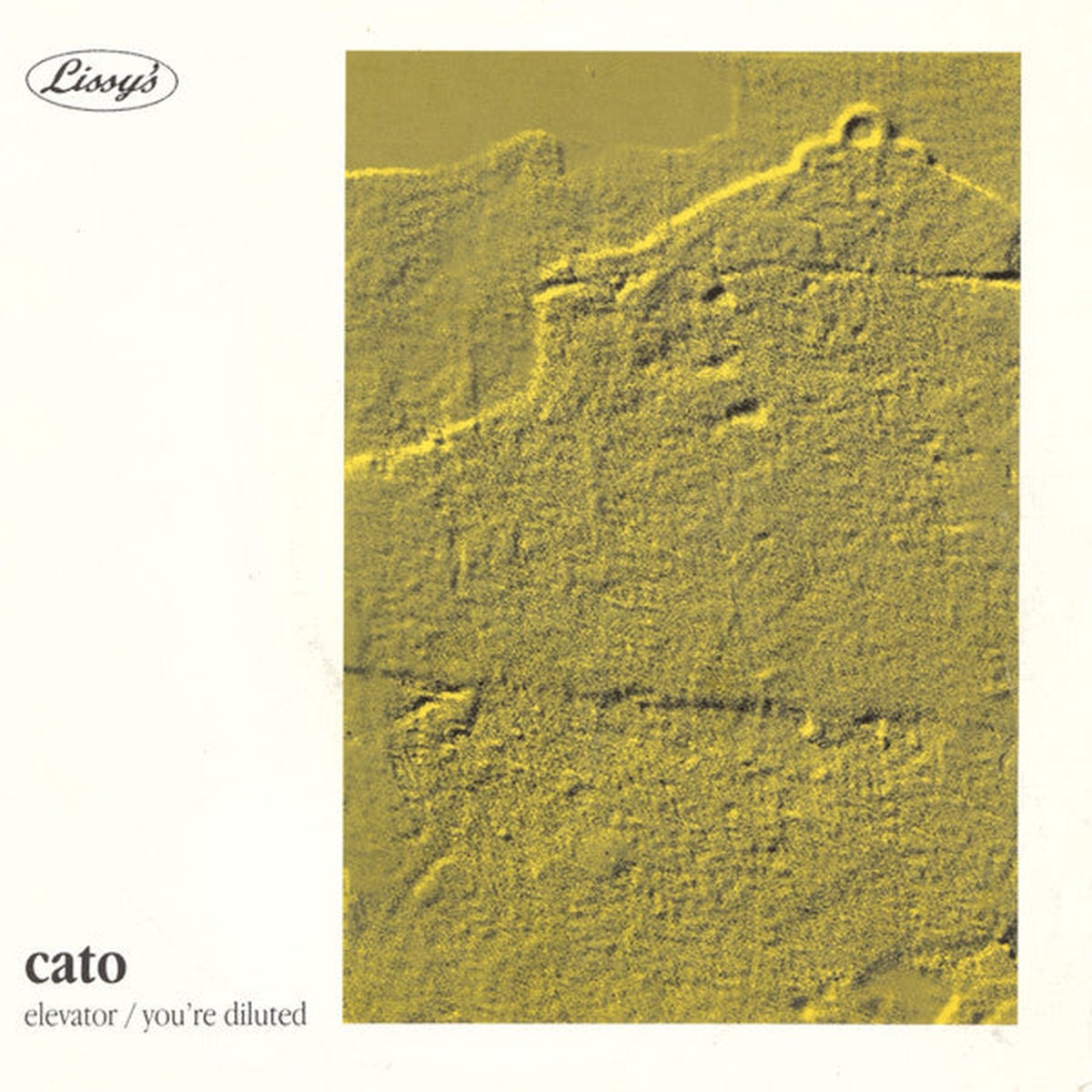Cato (4) - Elevator Youre Diluted (7 Single) - USED
