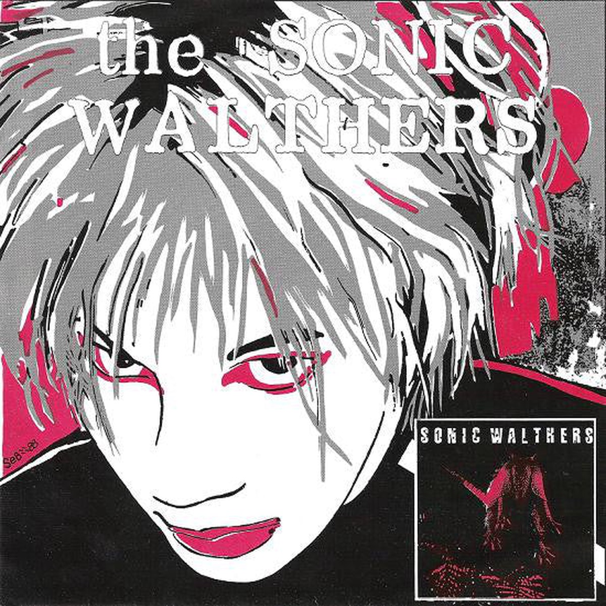The Sonic Walthers - All In The World (7) - USED