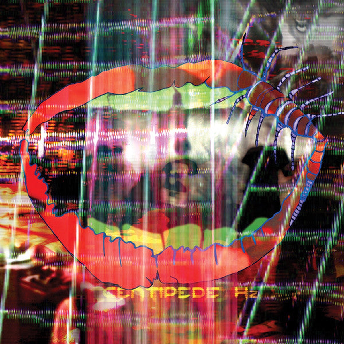 Animal Collective - Centipede Hz (2xLP Album Gat) - NEW