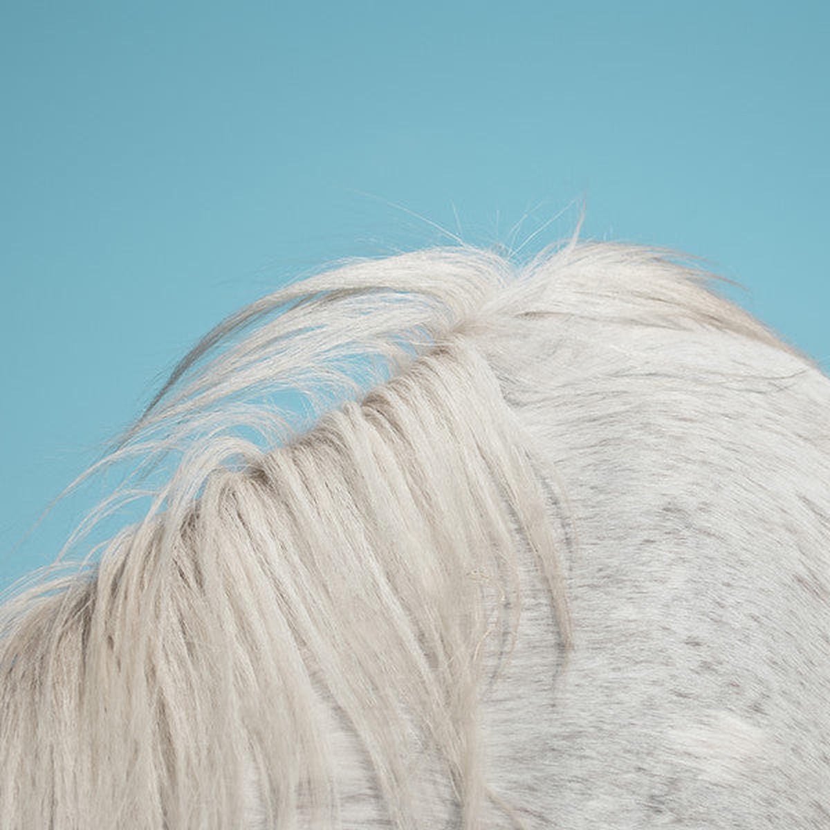 Widowspeak - All Yours (CD Album) - NEW