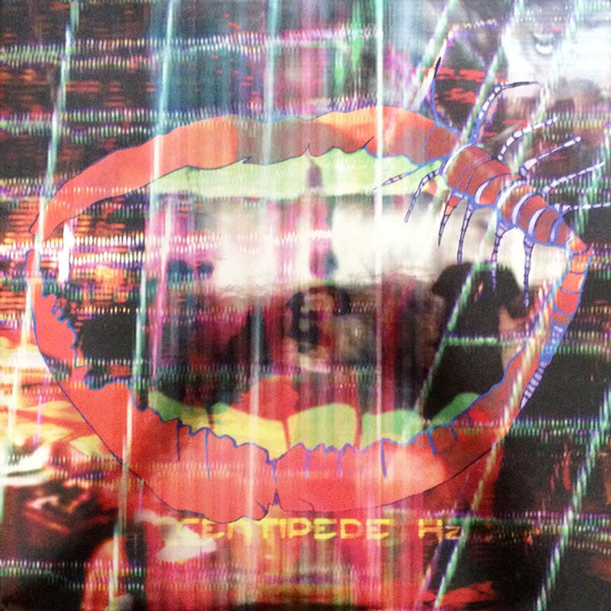 Animal Collective - Centipede Hz (2xLP Album Dlx Ltd 180 DVD) - NEW