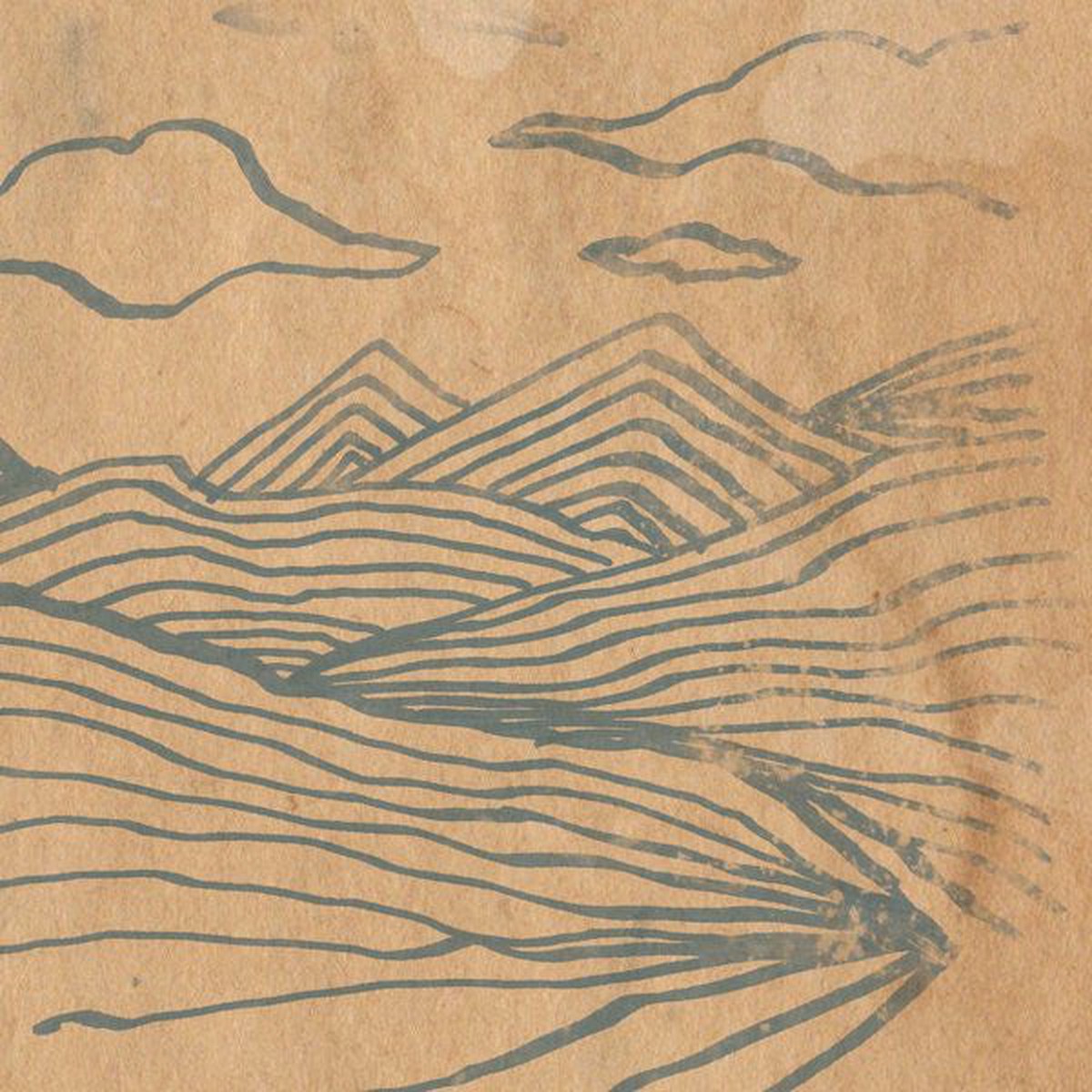 Wooden Wand - Farmers Corner (LP Album) - NEW