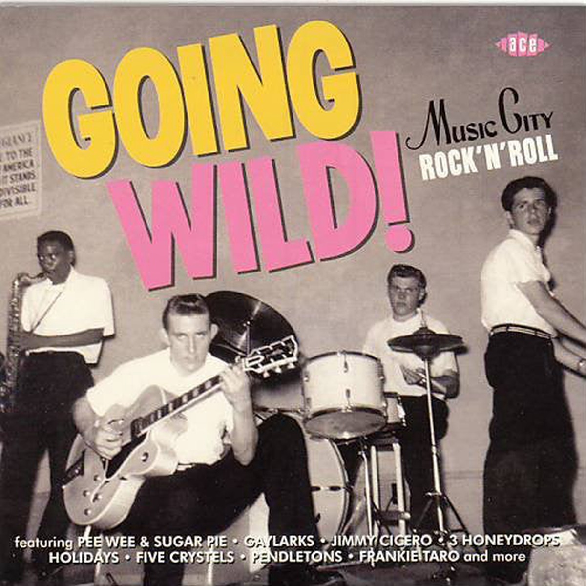 Various - Going Wild Music City Rock n Roll (CD Comp) - NEW