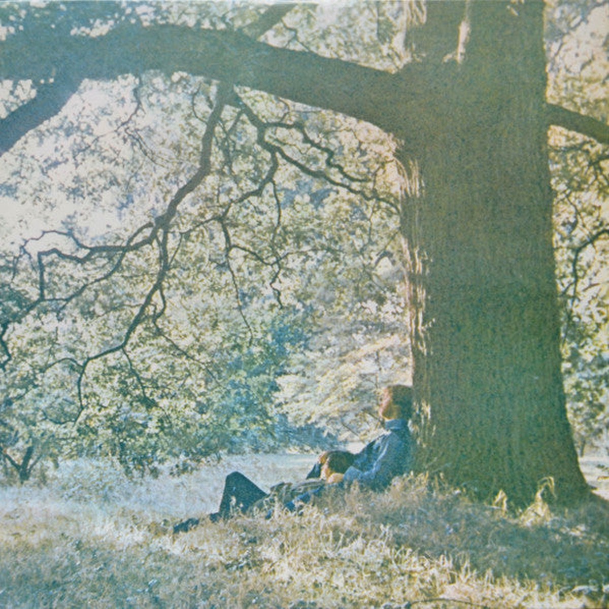 Yoko Ono Plastic Ono Band - Plastic Ono Band (LP Album RE) - NEW